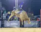 Arena pega fogo: Luiz Gabriel vence a noite no touro Irônico e Alex Oliveira vira líder do rodeio em Sorriso