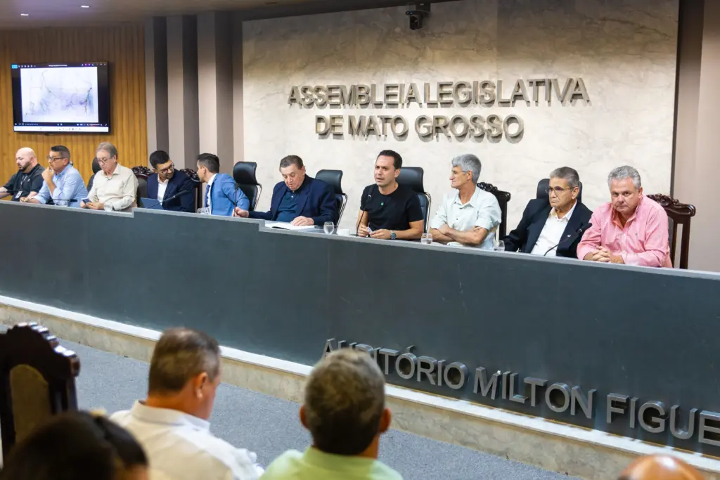 Divisa entre estados avança em debate na ALMT