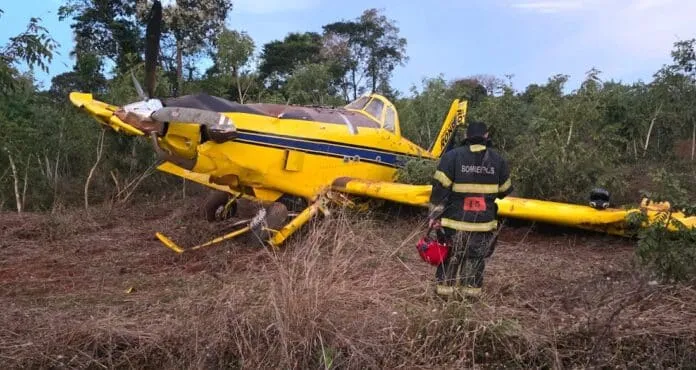Avião cai em área de mata