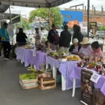 Várzea Grande sedia 1ª Exposição da Agricultura Familiar da Baixada Cuiabana