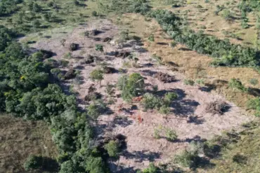 Desmatamento irregular leva a embargo de área em Cuiabá