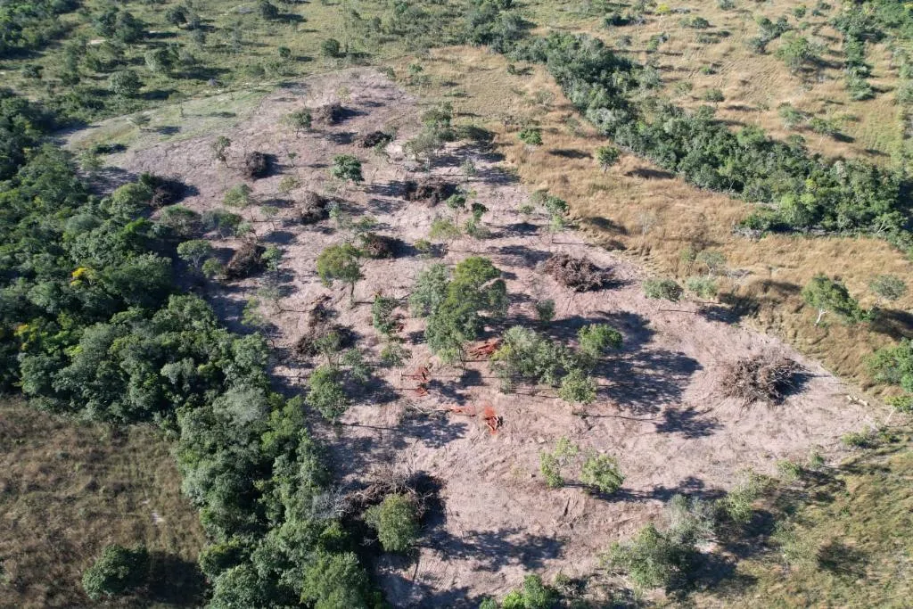 Desmatamento irregular leva a embargo de área em Cuiabá