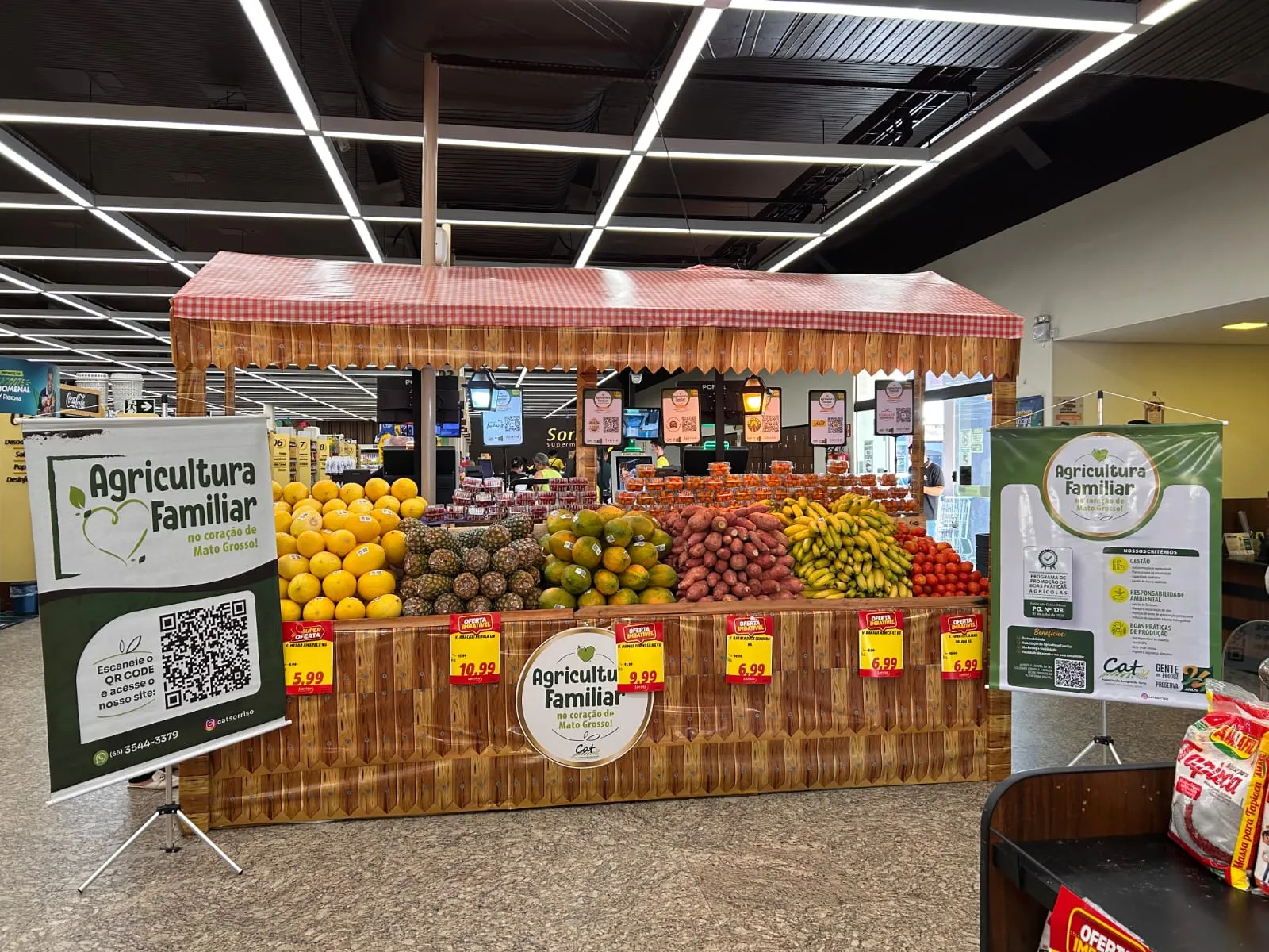 Ministério da Agricultura reconhece projeto do CAT Sorriso e coloca agricultura familiar de Mato Grosso em destaque nacional