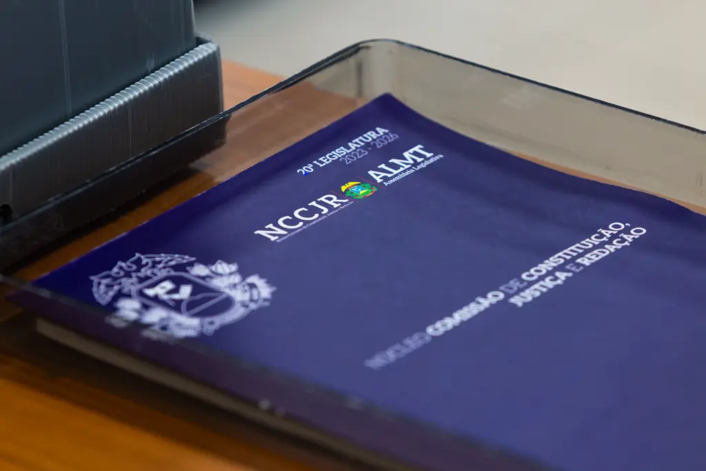 CCJR aprova projetos para expandir diagnóstico do autismo e nutrição para Síndrome de Down em MT