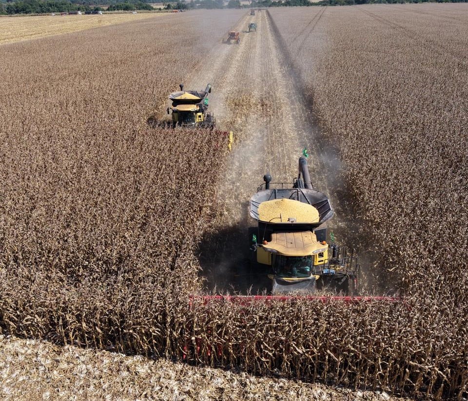 Colheita do milho entra na reta final em Lucas do Rio Verde com produtividade satisfatória, avalia Sindicato Rural