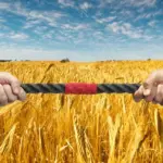 Diplomacia no campo: Mato Grosso cria tribunal de conciliação para evitar que “guerra de bilhões” do agro pare na Justiça