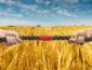 Diplomacia no campo: Mato Grosso cria tribunal de conciliação para evitar que “guerra de bilhões” do agro pare na Justiça