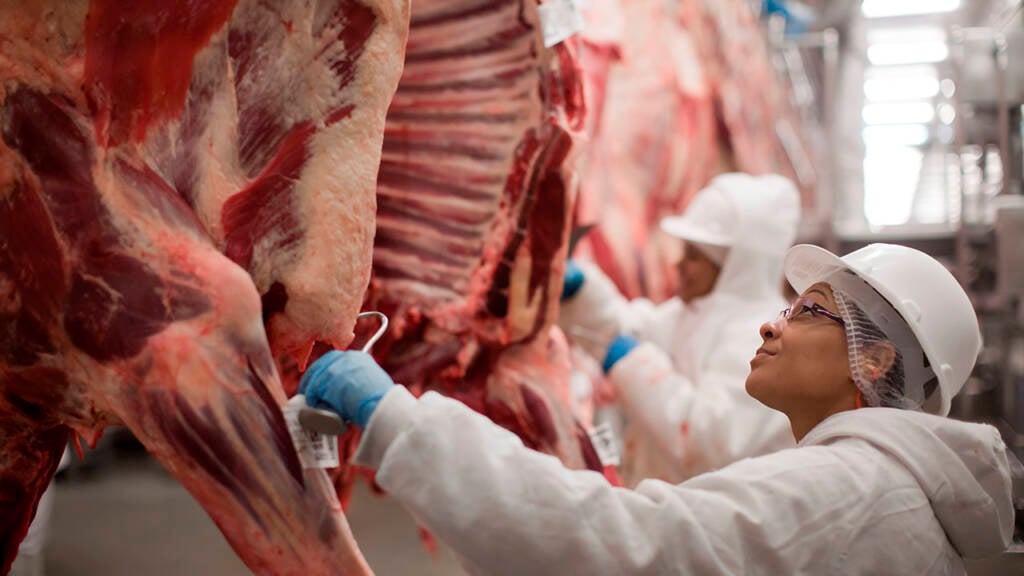 Embarques de carne bovina no 1º semestre têm melhor desempenho da história