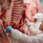 Embarques de carne bovina no 1º semestre têm melhor desempenho da história