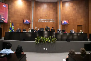 Empreendedorismo feminino é homenageado na ALMT