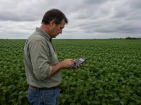 Endividamento rural em Mato Grosso cresce e crédito problemático atinge maior nível da série histórica, aponta Imea