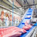 Exportações de carne suína atingem recorde histórico no 1º semestre