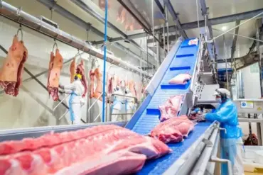 Exportações de carne suína atingem recorde histórico no 1º semestre