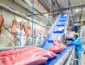 Exportações de carne suína atingem recorde histórico no 1º semestre