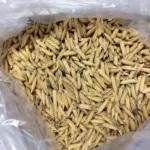 Exportações recordes impulsionam mercado e sustentam alta do arroz no Brasil