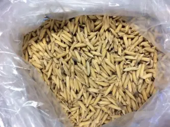 Exportações recordes impulsionam mercado e sustentam alta do arroz no Brasil