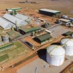 Lucas do Rio Verde consolida protagonismo na agroindustrialização e impulsiona crescimento econômico em Mato Grosso