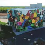 Edital Startup Mato Grosso vai injetar R$ 1,5 milhão em empresas inovadoras