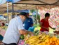 Sabores da terra: feira no centro de Cuiabá atrai público e fortalece a agricultura familiar