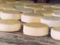 Festival do Queijo em Cuiabá reúne agricultura familiar e premiados mundialmente no Centro de Eventos