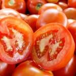 Fim da primeira etapa da safra eleva preços do tomate em São Paulo e no Rio de Janeiro