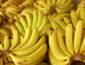 Frio compromete qualidade e oferta de banana nanica