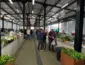 Chapada dos Guimarães inaugura revitalização histórica da Feira do Produtor
