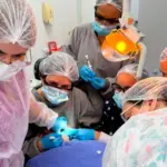 Inclusão na cadeira do dentista: Várzea Grande capacita equipes para atender pacientes com deficiência
