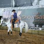 Leilões, genética e inovação fazem do Show Safra Pecuária um polo de negócios