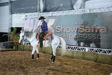 Leilões, genética e inovação fazem do Show Safra Pecuária um polo de negócios