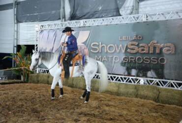 Leilões, genética e inovação fazem do Show Safra Pecuária um polo de negócios