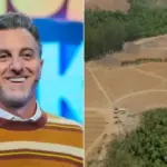 Abacate vira novo investimento de Luciano Huck no campo