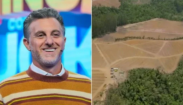 Abacate vira novo investimento de Luciano Huck no campo