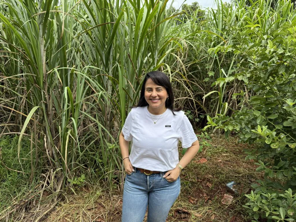 Investimentos na agricultura familiar em Mato Grosso ultrapassam R$ 817 milhões