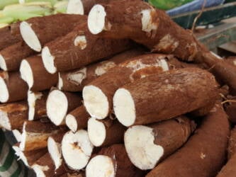 Oferta restrita de mandioca mantém preços em alta no Centro Sul