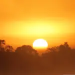 Polêmica no Pantanal: Aprovada urgência para projeto que reduz área protegida em Mato Grosso