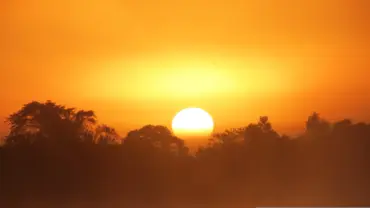 Pantanal2