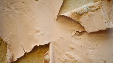 Parede descascando: como evitar bolhas antes da pintura