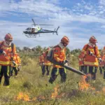 Período proibitivo do uso do fogo em Mato Grosso entra em vigor; multa e prisão punem infrações