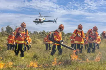 Período proibitivo do uso do fogo começa em Mato Grosso nesta quarta-feira