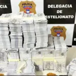 Polícia Civil incinera R$ 10 milhões em notas falsas usadas no golpe do falso empréstimo milionário