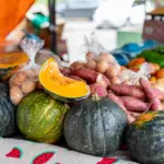 Do campo à mesa: Feira da Agricultura Familiar na Praça Alencastro impulsiona renda e reduz desperdício em Cuiabá