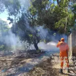 Incêndio subterrâneo em lixão clandestino desafia bombeiros e sufoca bairro em Primavera do Leste