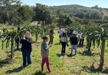 agricultura familiar em MT