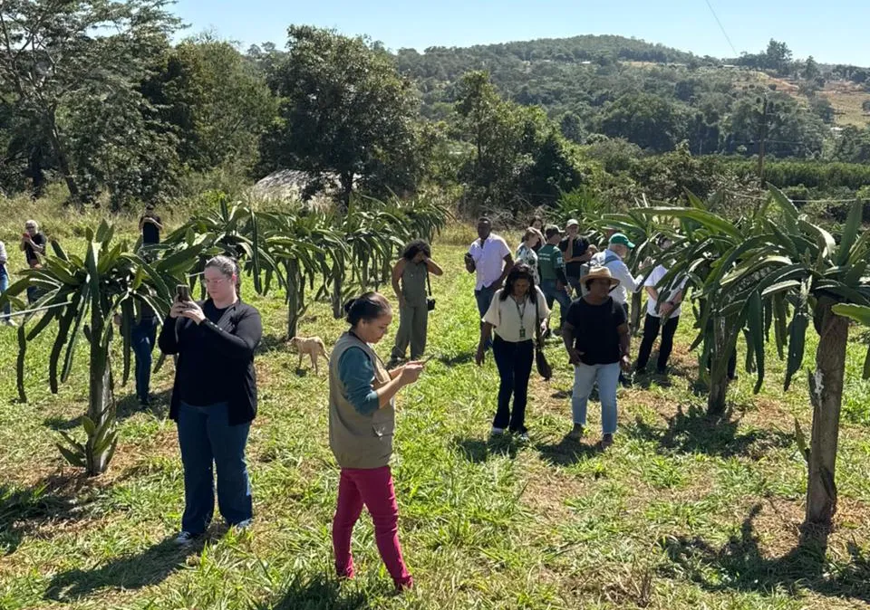 Programa Fundaaf 2.1 em Castanheira é apresentado com edital de R$ 76,7 milhões para o campo