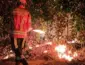 Força-tarefa em Sinop: incêndio devora 160 hectares no Alto da Glória e mobiliza Bombeiros, Prefeitura e produtores