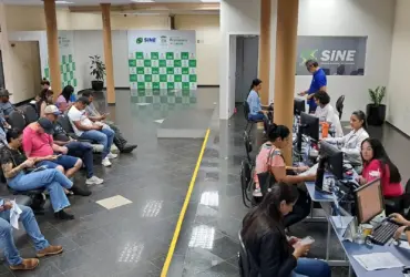 Sistema Nacional de Emprego (2)
