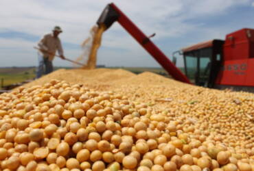 Soja brasileira ganha competitividade externa e acelera negócios para exportação