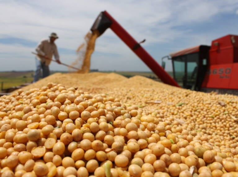 Soja brasileira ganha competitividade externa e acelera negócios para exportação