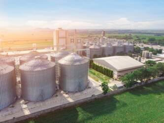 Super El Niño pode elevar custos da indústria de Mato Grosso e afetar produção agroindustrial
